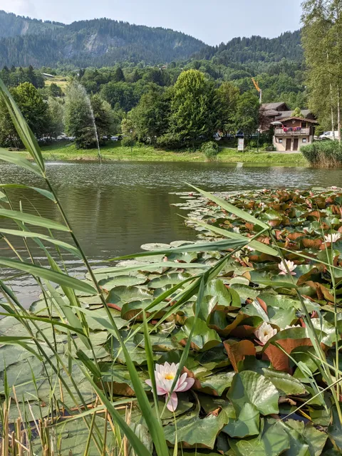 Base de Loisirs des Chavants