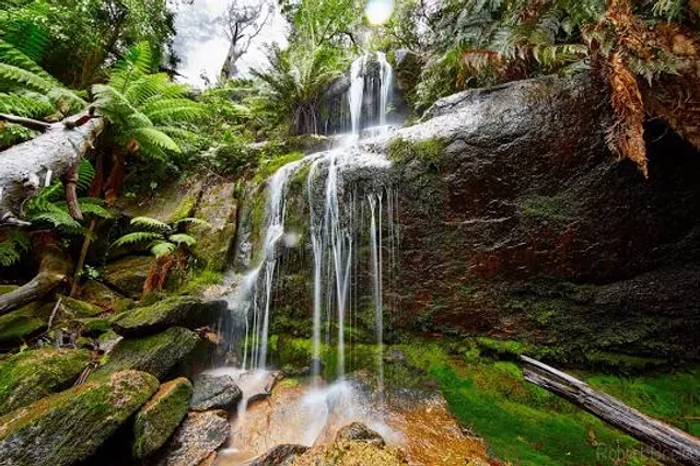 Mount Buangor State Park (Parks Victoria)