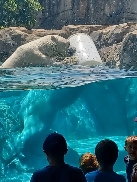 Great Bear Wilderness