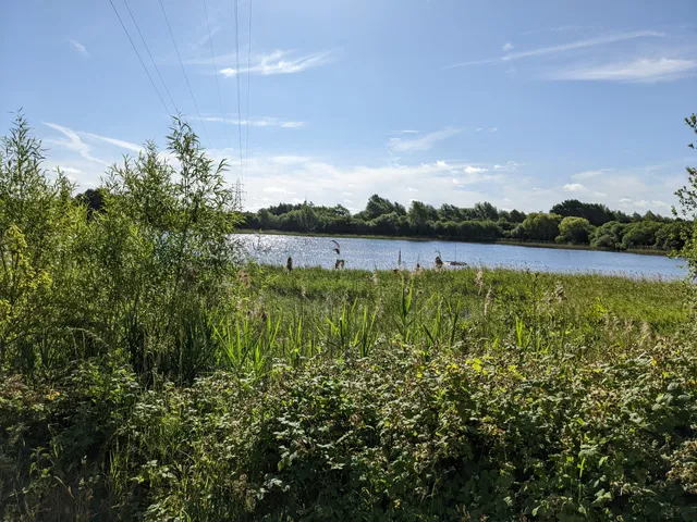 photo-1