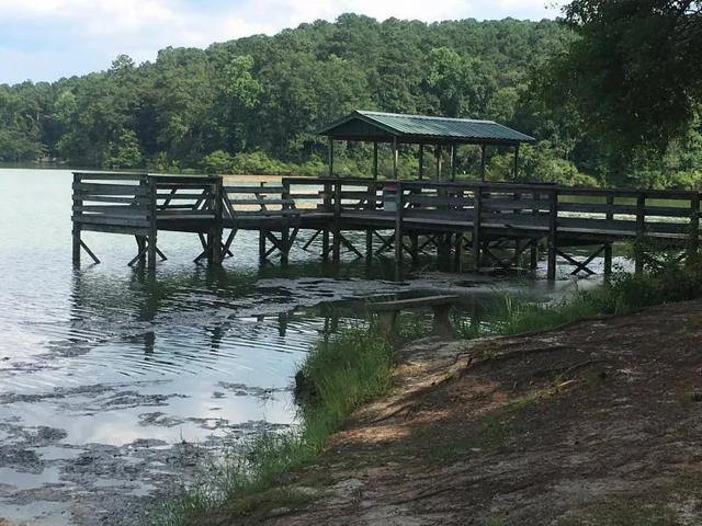 Dale County Public Lake