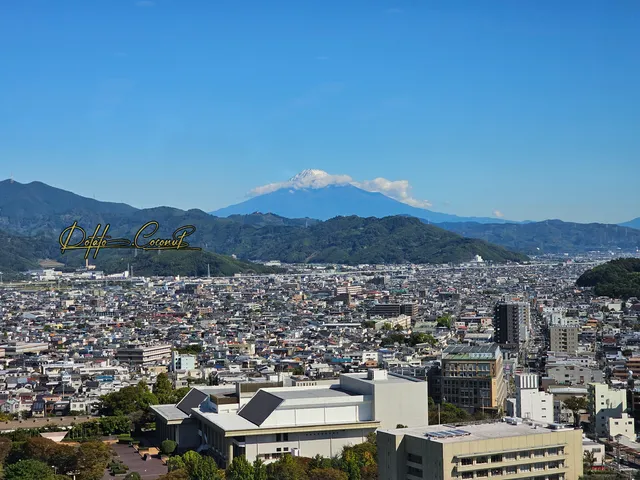 Observation Platform 21st Floor of the Prefectural Office