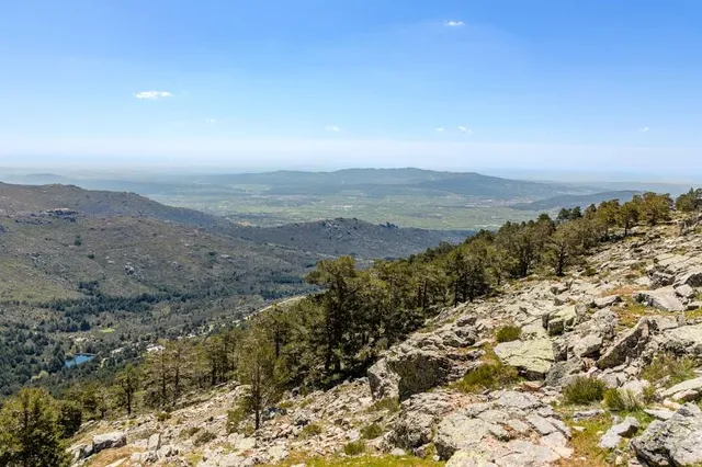 photo-1