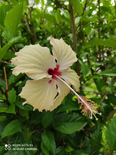 POUSADA CHÁCARA VISTA ALEGRE