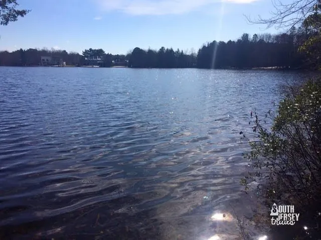 Hammonton Lake