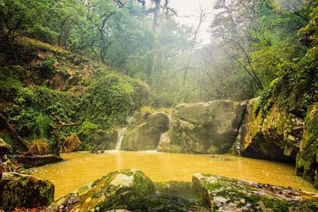 Oued Zen National Park