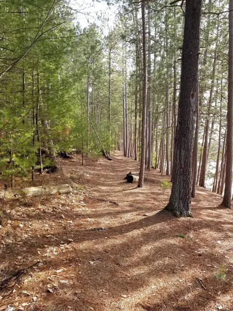Sandrock Cliffs Trail