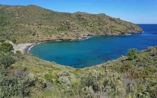 Cala Jóncols
