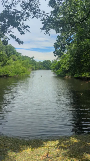 Forest City Community Park