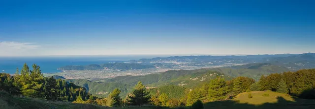 Campocecina Carrara Ms