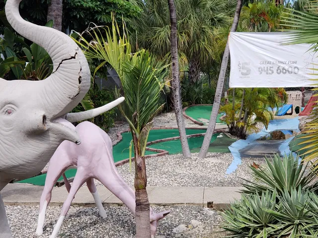 Cayman Crazy Golfing