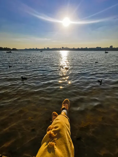 Smart - парк "Дельфин"