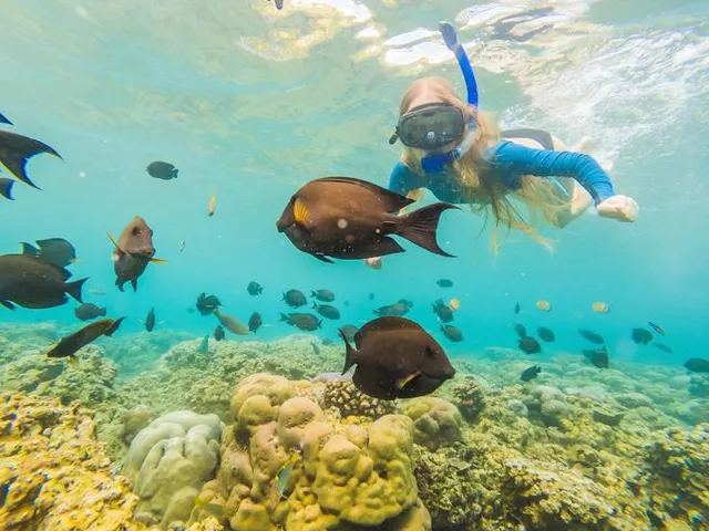 Acuario Rodadero Santa Marta