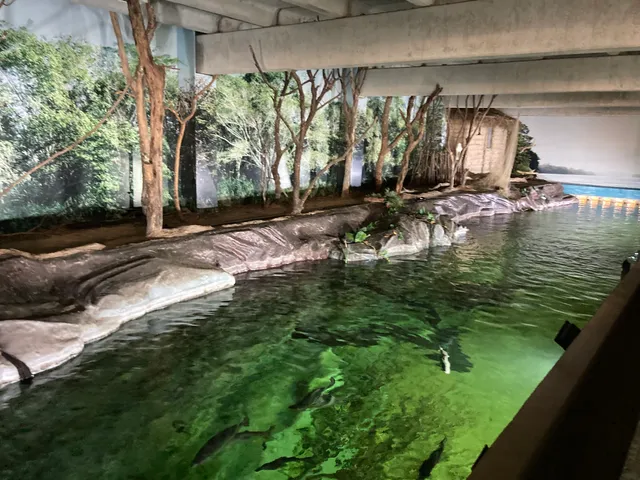 Aquário do Rio São Francisco