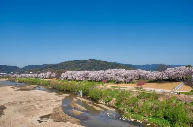 Gokobashi Bridge (Kizu River)