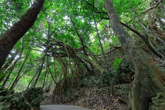 Kenting National Forest Recreation Area