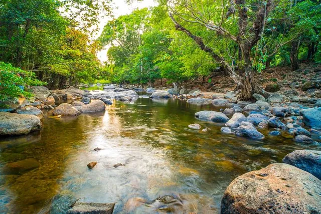 Forest Oasis Waterpark