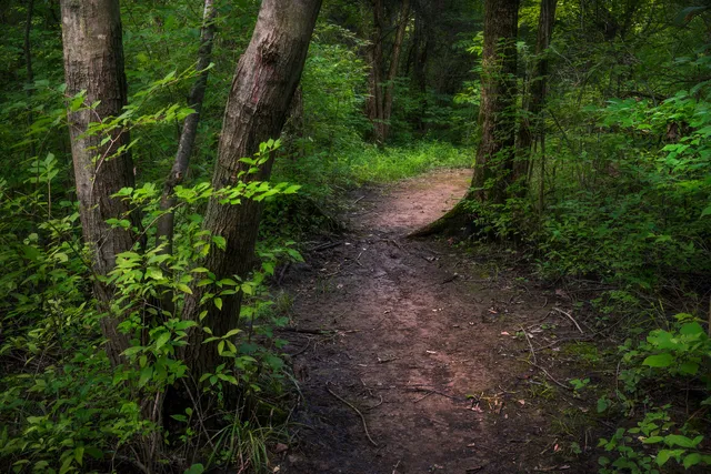 Mengerson Nature Reserve - ACRES Land Trust