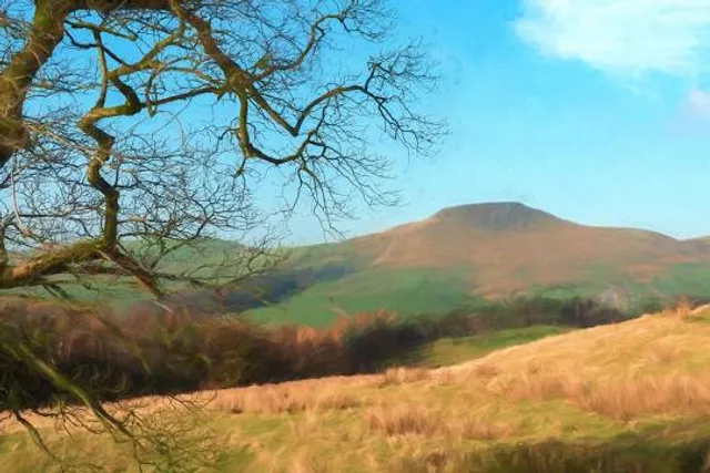 Roundton Hill National Nature Reserve