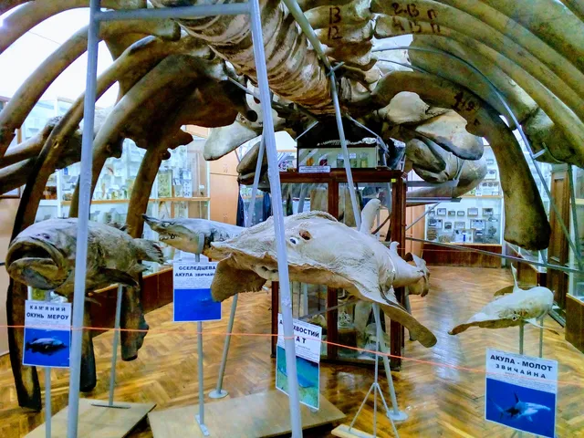 Pryrodnychyy Muzey Chernivetsʹkoho Natsionalʹnoho Universytetu Imeni Yuriya Fedʹkovycha