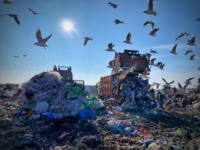 Marian Bear Memorial Park