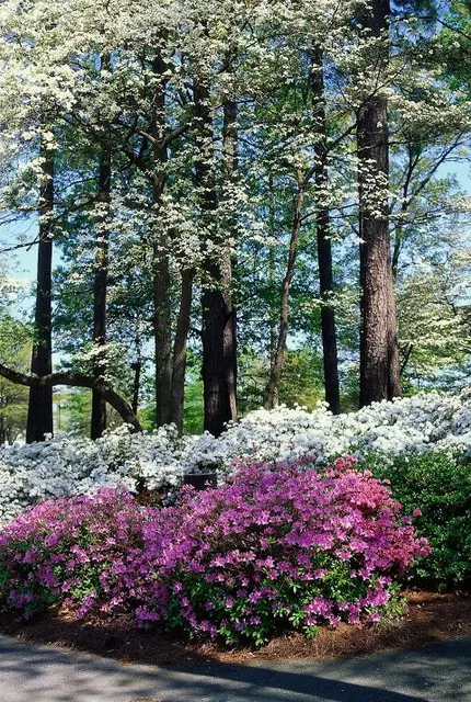 Norfolk Botanical Garden