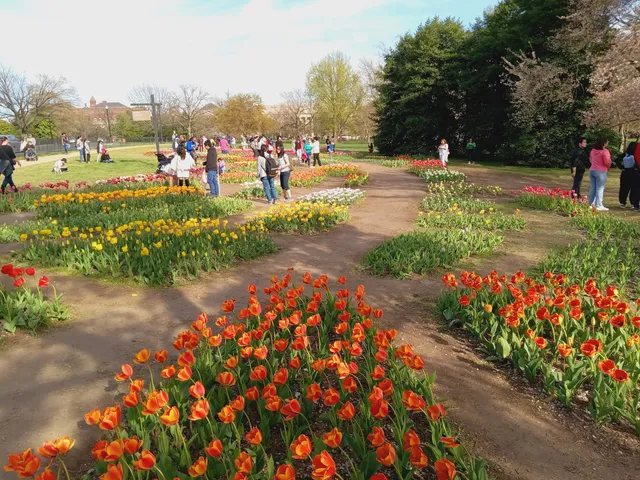 Floral Library