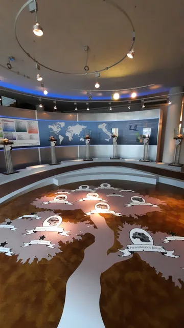 MAE - Museo Archeologico Ernico