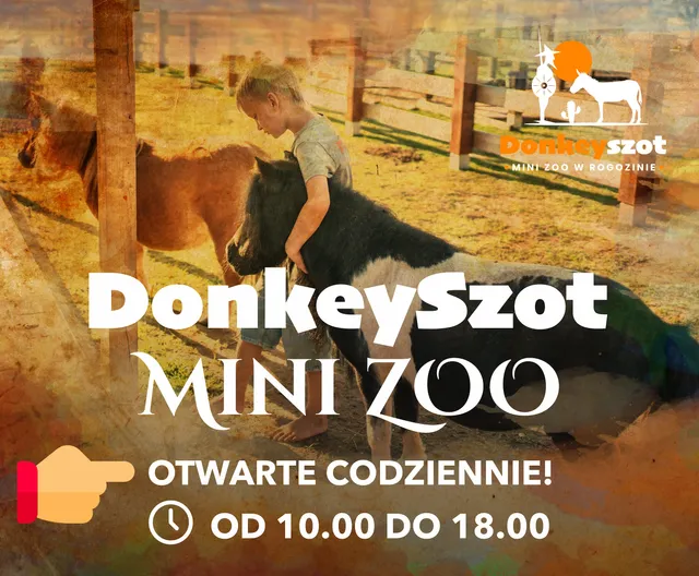 Donkeyszot. Mini zoo w Rogozinie. Alpaki!