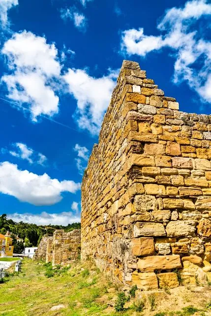 Castelo de Alcobaça