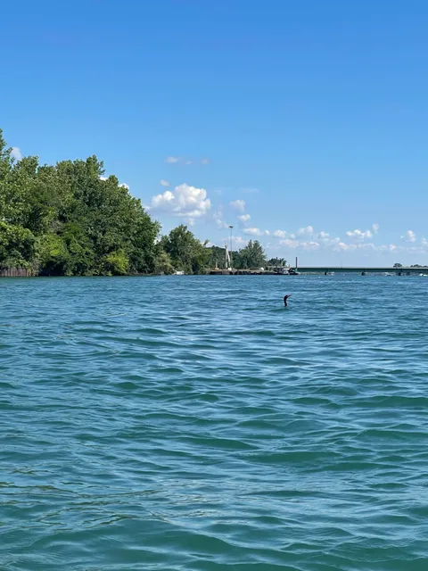 Detroit River International Wildlife Refuge Office