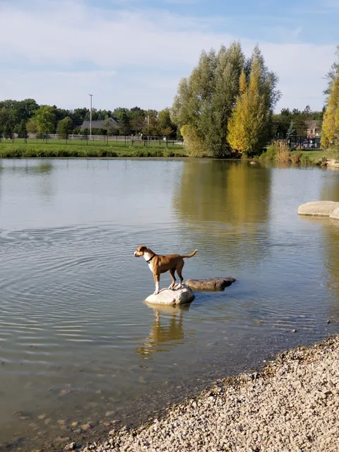 Canine Meadow - Dog Park