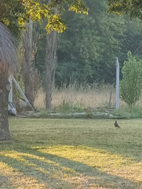 Barrio Parque SAKURA II