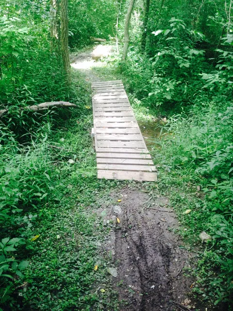 Morton Taylor Trailhead