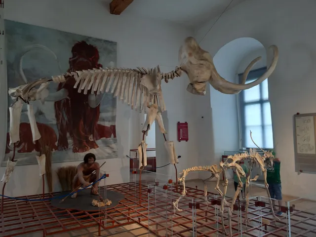 Museum für Ur- und Frühgeschichte