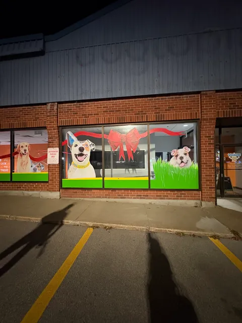 Dog Lovers' Playground Newmarket