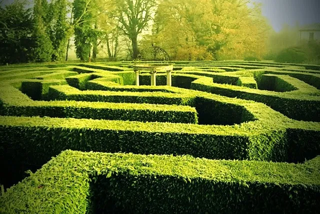 The aMazing Hedge Puzzle