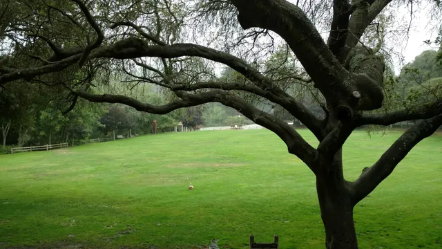 Aptos Village County Park