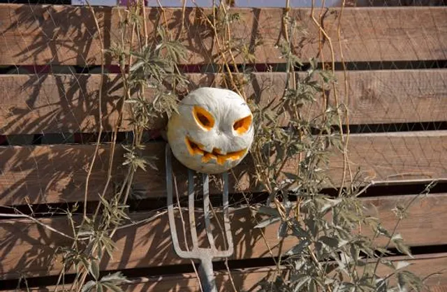 Animal Park Bouillon