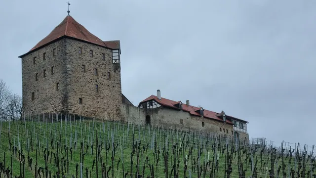 Burg Wildeck