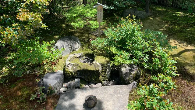 photo-1