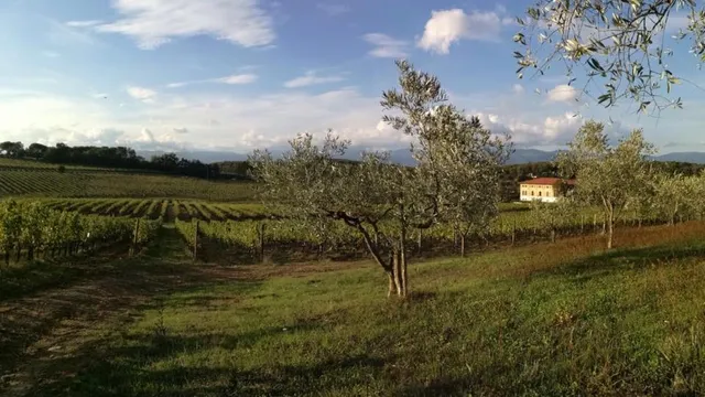 Fattoria Betti