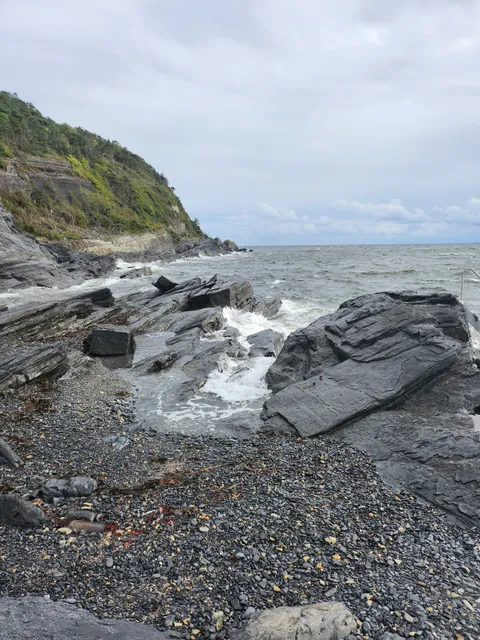 Steinvika naturreservat