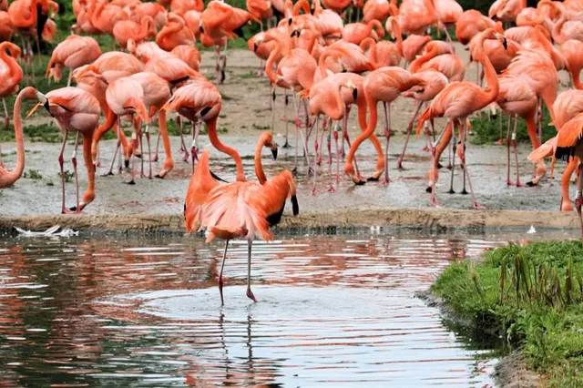 Linluo Wetlands Park