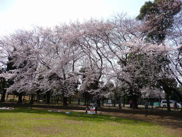 Sakadoshiinarikubo Park