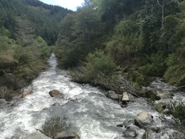 place image