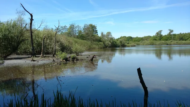 Trichelbroek Eindhout
