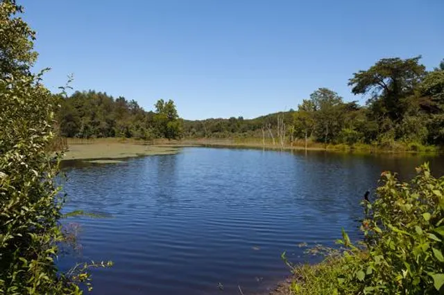 North Cumberland WMA Sundquist Unit Riding Area
