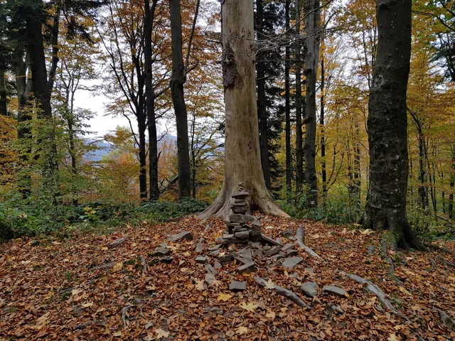 photo-2