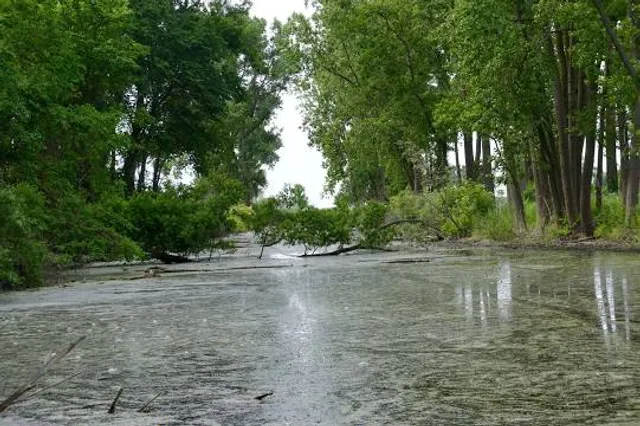 Lake St. Clair Metropark Nature Center